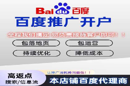SEM竞价广告优化全攻略：经典案例解析